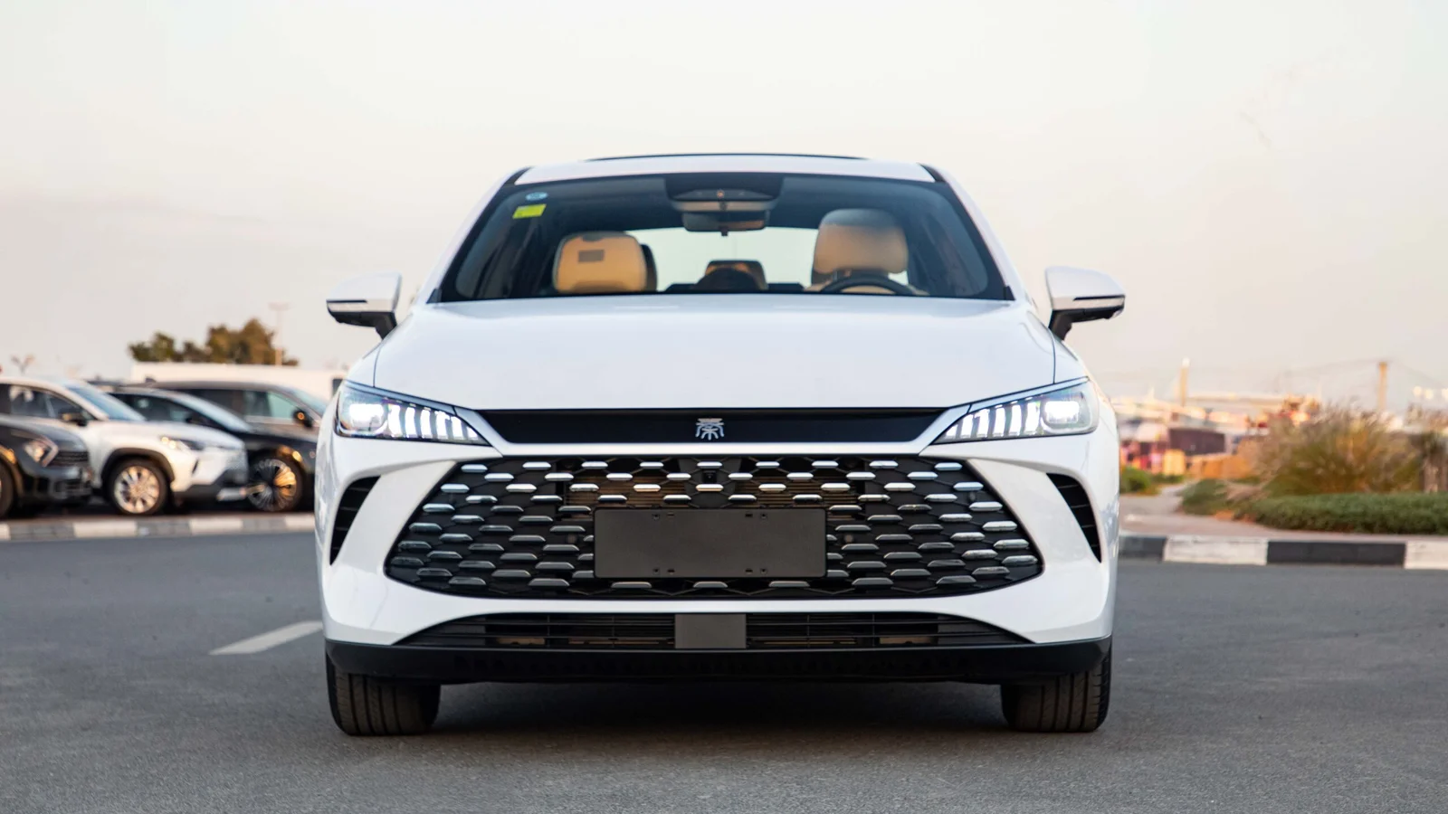 2025 BYD Qin Plus white front view premium export